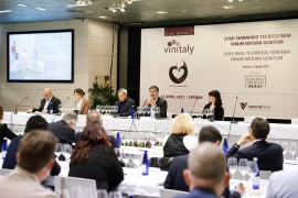XXXII Seminario tecnico MASI “Vinum Natura genitum” Il vino autentico e semplice come una volta ma buono come ci si aspetta che sia oggi
