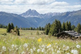 Fiorisce la primavera nell’Area Vacanze Sci & Malghe Rio Pusteria: Malghe in Fiore, l’evento più autentico dell’Alto Adige dall’11 maggio al 1° giugno