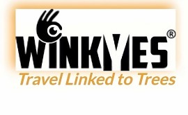 WINKYES lancia il nuovo SITO 