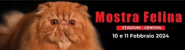 WORLD CATS Mostra Felina di Genova - 10 e 11 Febbraio 2024