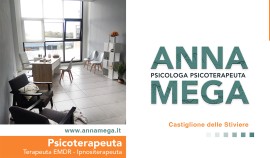 Lo psicoterapeuta: ruolo e attività