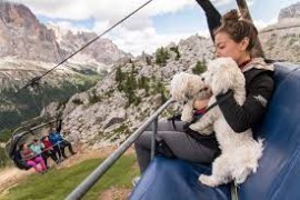 Vacanze a Cortina. Anche i cani vanno in alta quota (comodamente a bordo di seggiovie, cabinovie e funivie)  	­