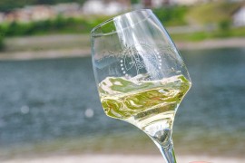 Pinot grigio DOC delle Venezie. Tra previsioni di Sistema e gestione del Consorzio di Tutela