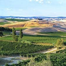 Guida Michelin (Consorzio Brunello): nuova Stella a Montalcino. Vino, ristorazione e ospitalità, trinomio vincente