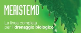 Drenaggio meristematico degli organi