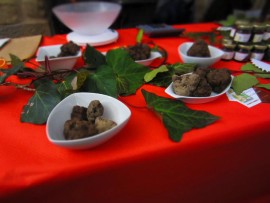 Ritorna un evento storico: “Le Terre del Tartufo” a Pieve Torina