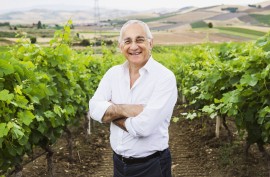Origine e visione, il rinascimento del Catarratto