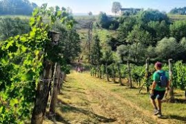 Slow tourism in Piemonte a Bergamasco (AL), porta dell’Alto Monferrato e cuore della rinnovata “Strada Franca”