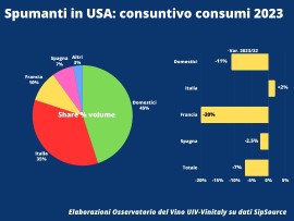 VINO (OSS. UIV): TOP 5 Mercati archiviano 2023 in calo, importa da mondo giù del 7%. Vino italiano a -3,4% volume e -7,3% valore