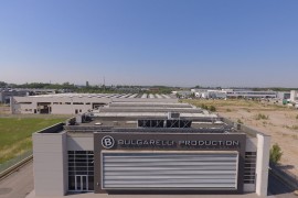 In vista della Giornata Internazionale delle Foreste, BULGARELLI PRODUCTION presenta il suo sito totalmente rinnovato