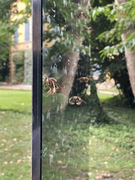 Al via l’ottava edizione gARTen