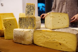 FORMATICUM torna con tante novità