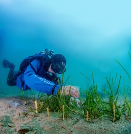 La birra trappista “La Trappe” accanto a Marevivo per ripopolare le Foreste del Mare, nel Golfo di Trieste.  La salute delle acque per dare ossigeno al Pianeta. 