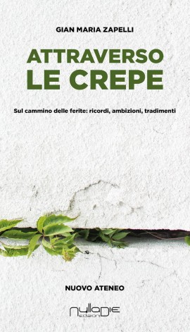 Attraverso le crepe di Gian Maria Zapelli