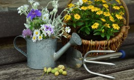 Articoli da Giardinaggio Eco-Friendly: le migliori scelte sostenibili