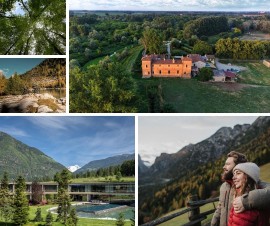 Il bagno nella foresta, viaggio sensoriale tra meraviglie naturali