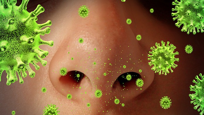 ANOSMIA e integrazione di Omega 3
