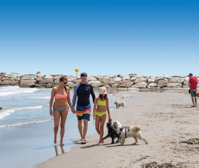 Al mare e in spiaggia con gli amici animali