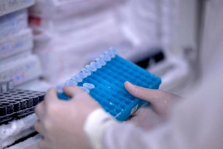 Congresso ECCO: nuovi risultati per guselkumab nella colite ulcerosa