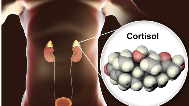 Cortisolo e Magnesio: un equilibrio vitale per il Benessere