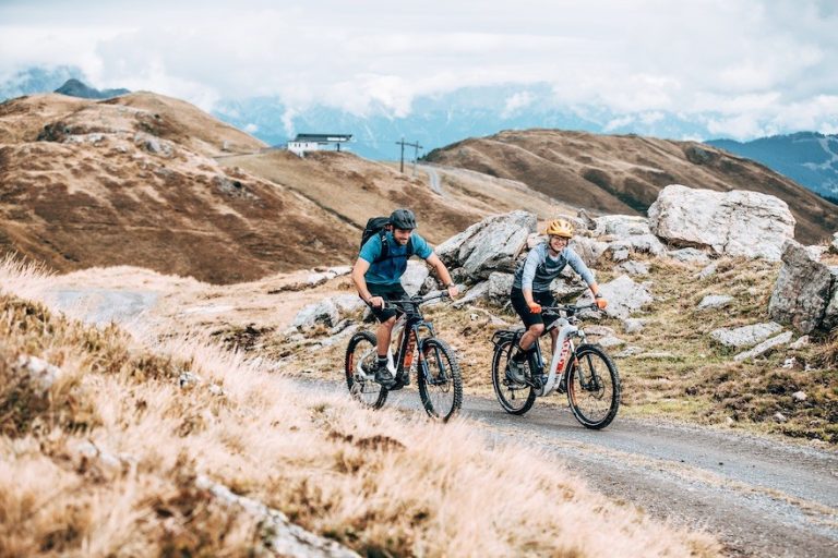 E-Bike Travel: per una mobilità sostenibile