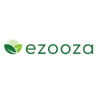 I segreti di Ezooza per un bellissimo giardino pavimentato