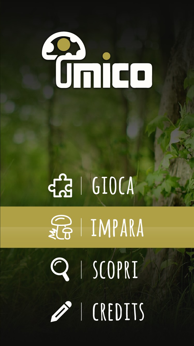 L'estate lucana alla scoperta dei funghi