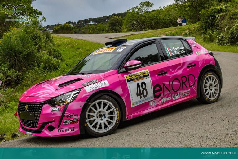 Rally: cambio in corsa per Ceccato Jr