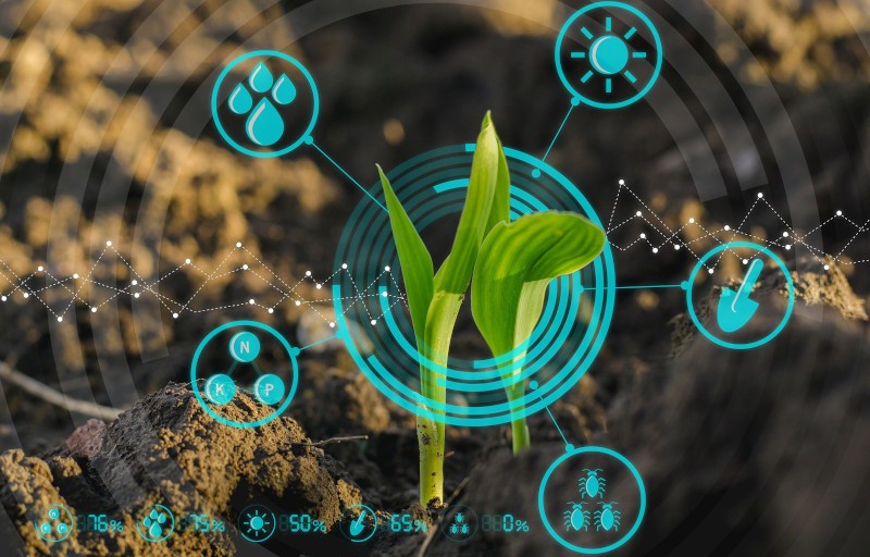 Record per l’agricoltura italiana 4.0