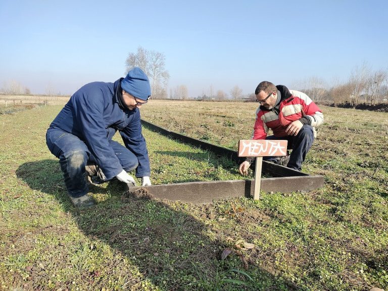 Una fattoria e un orto sociale aperto a tutti per coltivare relazioni: questo è “Raccogli ciò che curi”