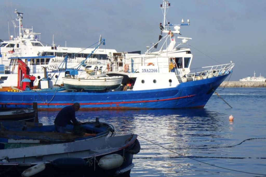 Pesca Viva