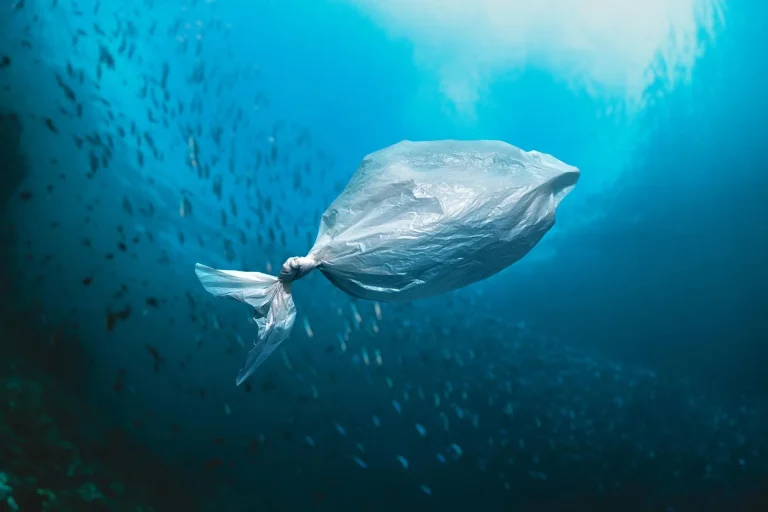 trattato globale sulla plastica